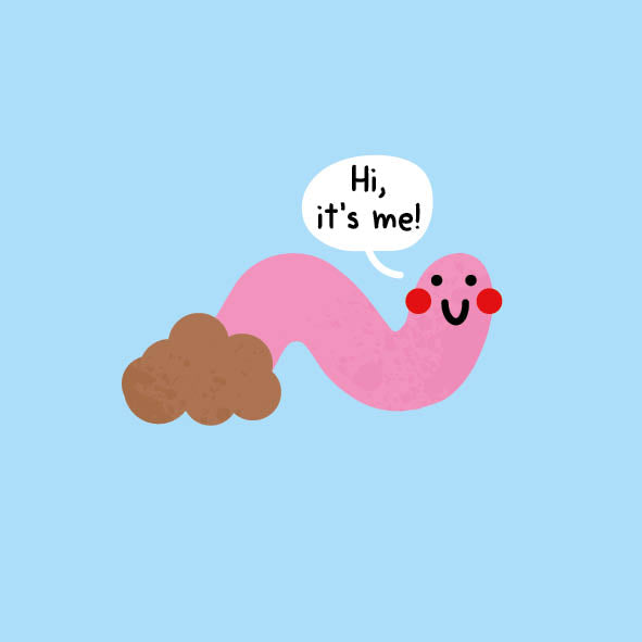 Taylor Worm