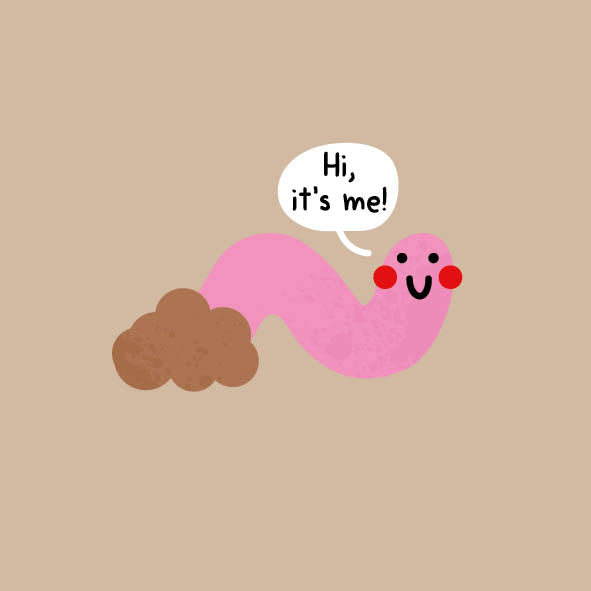 Taylor Worm