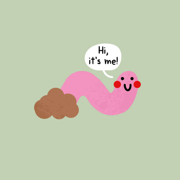 Taylor Worm